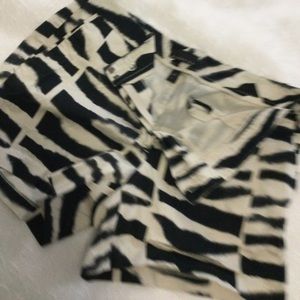 Zebra Print Shorts